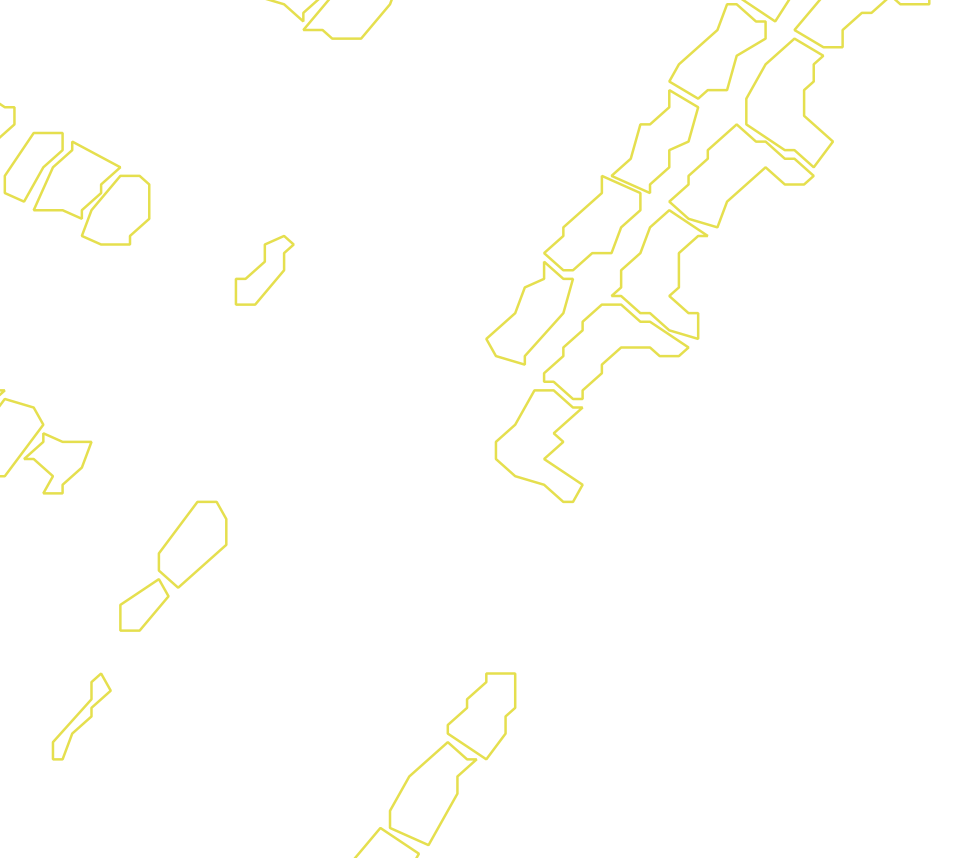 Daksegment met contourlijnen en structuurweergave