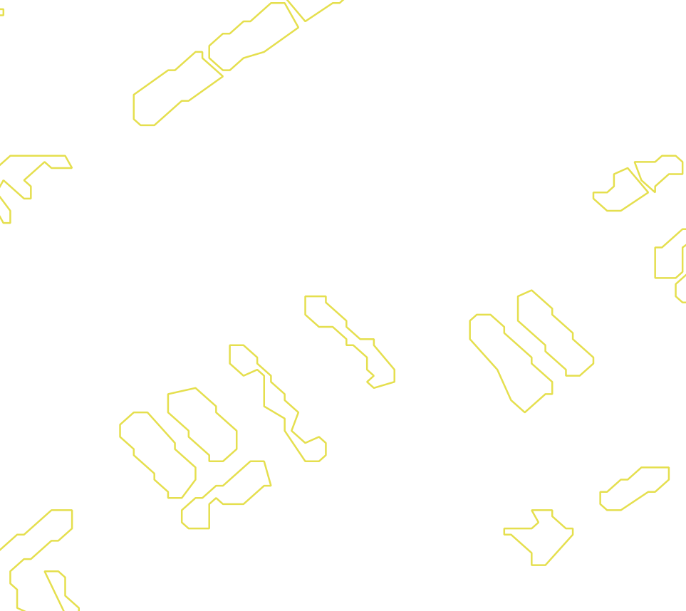 Daksegment met contourlijnen en structuurweergave