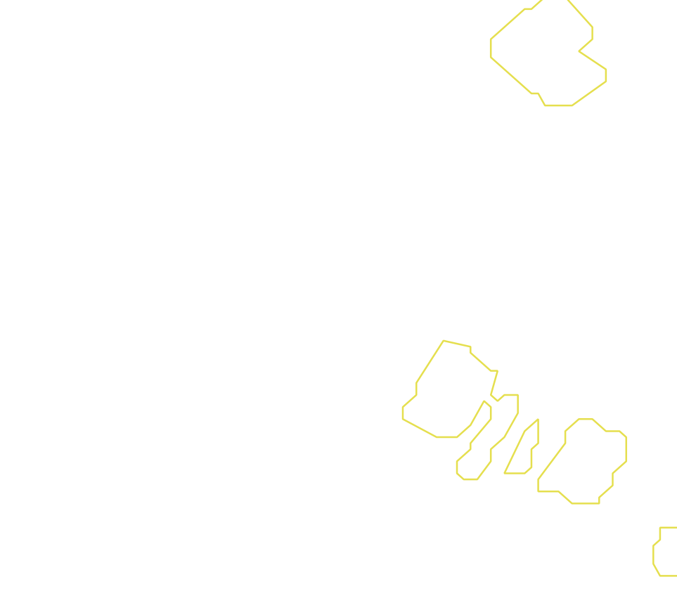 Daksegment met contourlijnen en structuurweergave