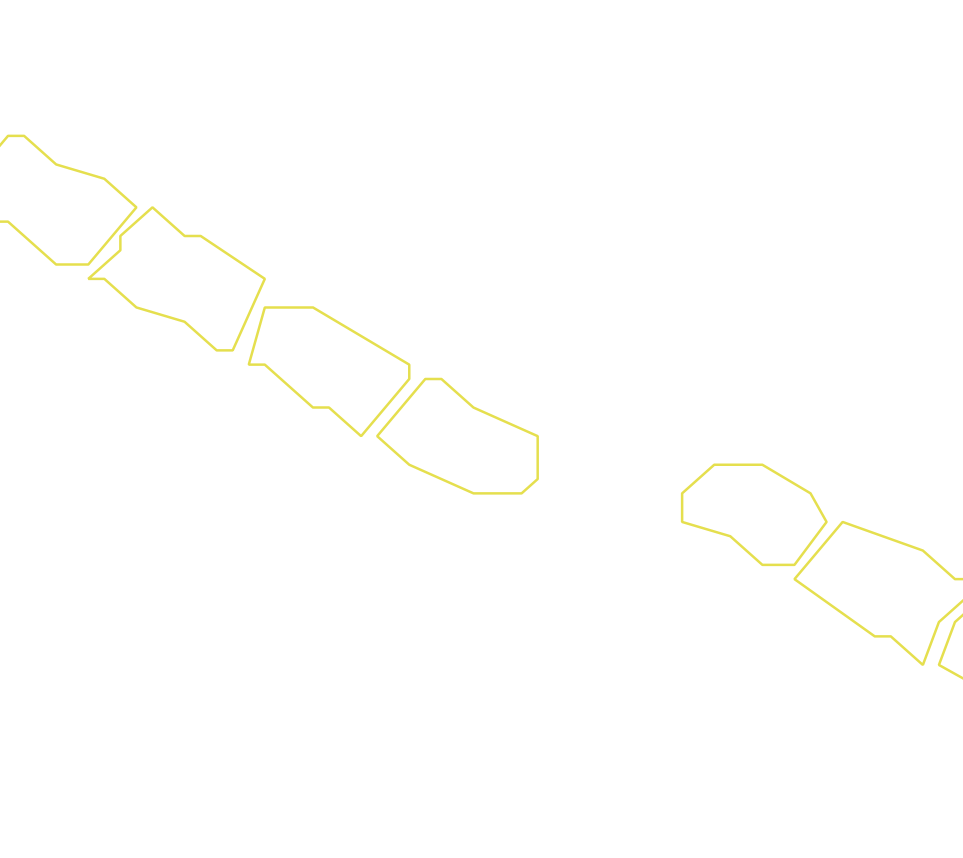 Daksegment ingezoomd met contourlijnen en structuurweergave