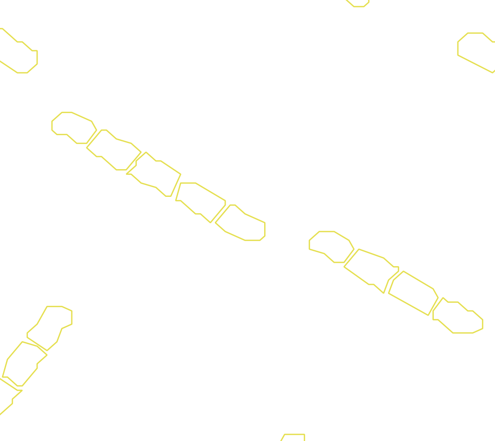 Daksegment met contourlijnen en structuurweergave