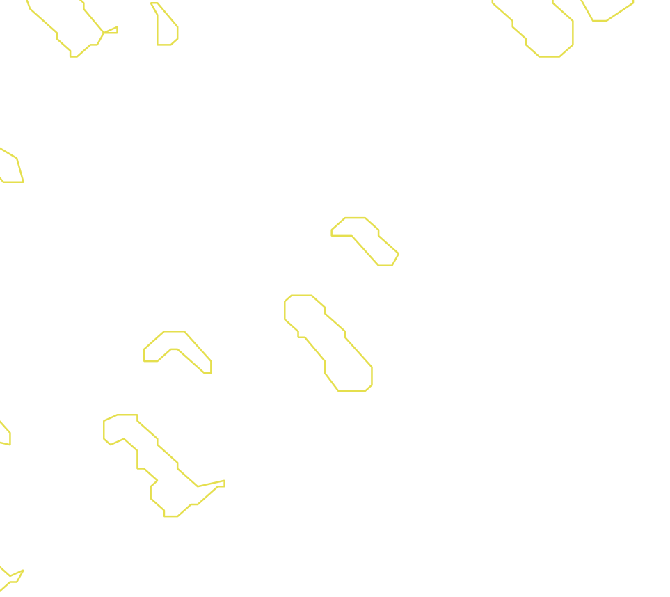 Daksegment met contourlijnen en structuurweergave