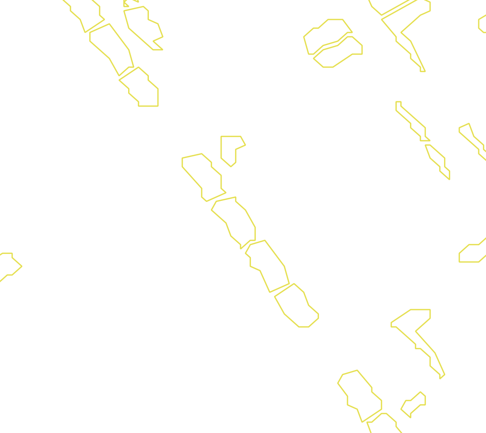 Daksegment met contourlijnen en structuurweergave
