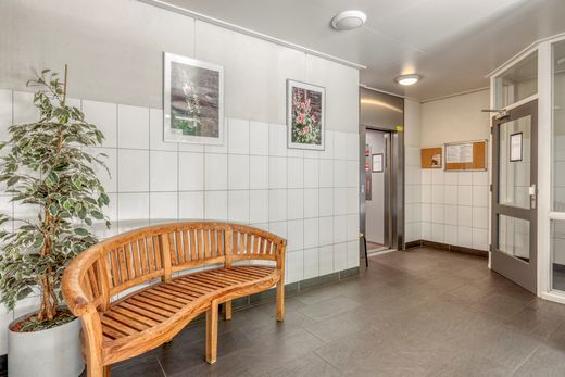 Klik op de foto om te vergroten