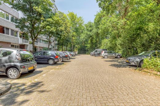 Klik op de foto om te vergroten