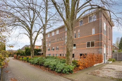 Klik op de foto om te vergroten