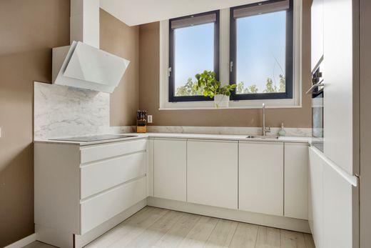 Klik op de foto om te vergroten