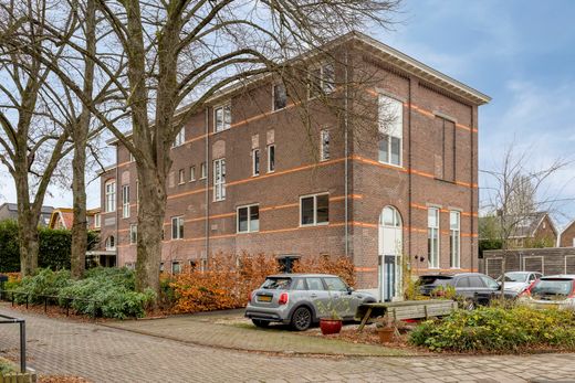 Klik op de foto om te vergroten