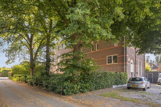 Klik op de foto om te vergroten