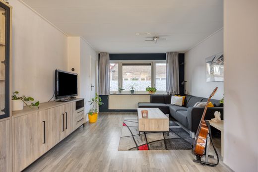 Klik op de foto om te vergroten