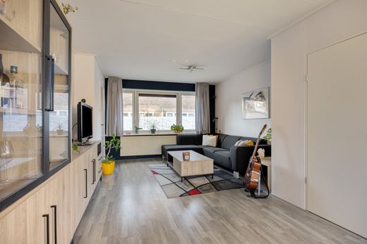 Klik op de foto om te vergroten