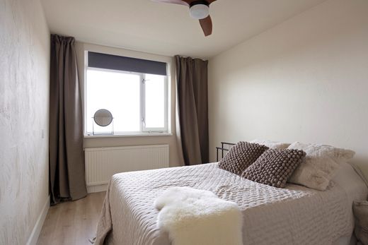 Klik op de foto om te vergroten