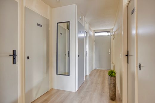 Klik op de foto om te vergroten