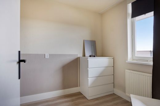 Klik op de foto om te vergroten