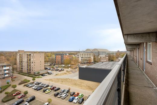 Klik op de foto om te vergroten