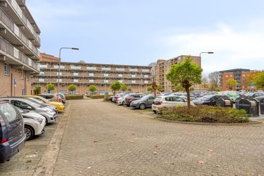 Klik op de foto om te vergroten