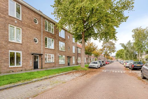 Klik op de foto om te vergroten