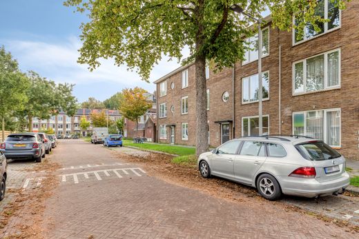 Klik op de foto om te vergroten