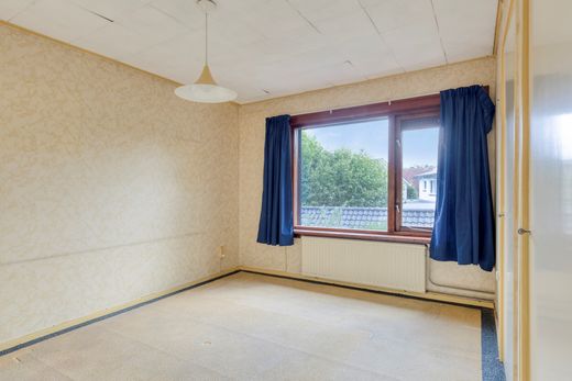 Klik op de foto om te vergroten