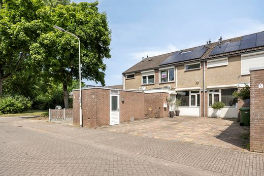 Klik op de foto om te vergroten