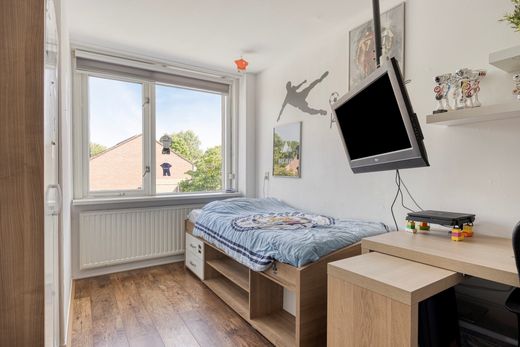 Klik op de foto om te vergroten