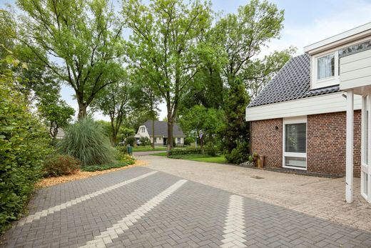 Klik op de foto om te vergroten