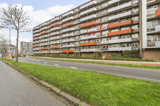Klik op de foto om te vergroten