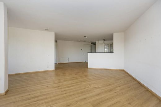 Klik op de foto om te vergroten
