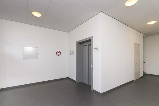 Klik op de foto om te vergroten