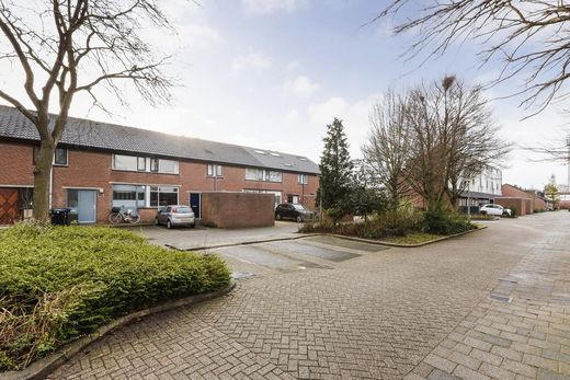 Klik op de foto om te vergroten
