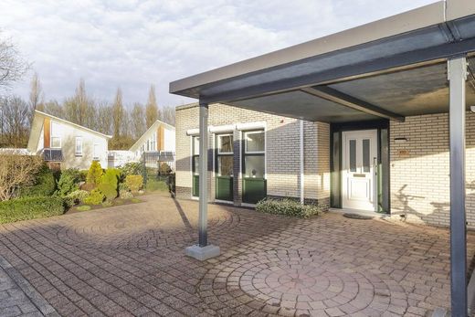Klik op de foto om te vergroten