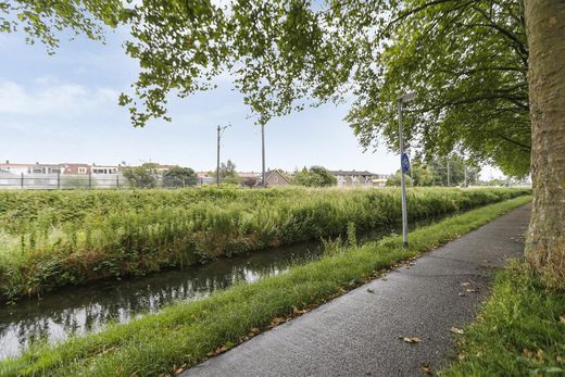 Klik op de foto om te vergroten
