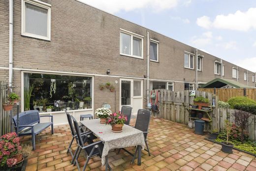 Klik op de foto om te vergroten