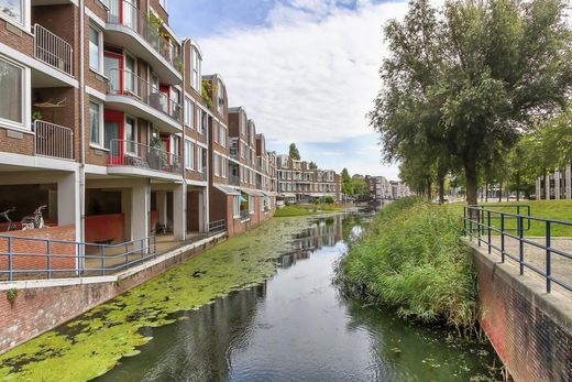 Klik op de foto om te vergroten