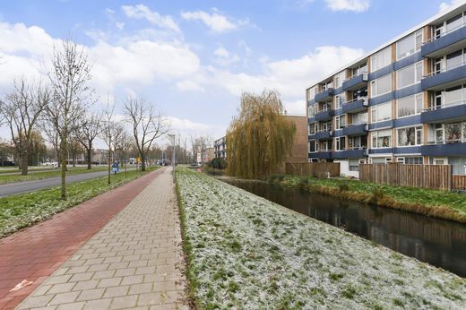 Klik op de foto om te vergroten