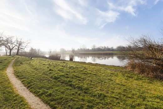 Klik op de foto om te vergroten