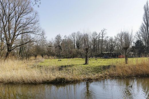 Klik op de foto om te vergroten