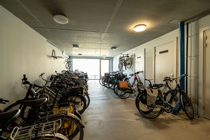 slider-image-19
