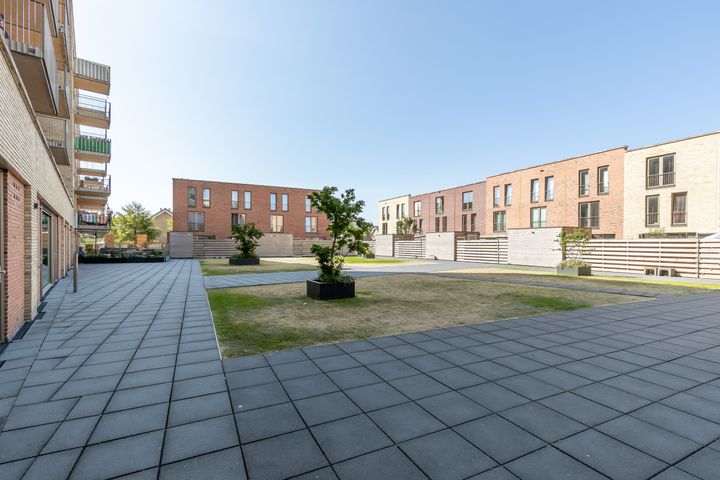 slider-image-39