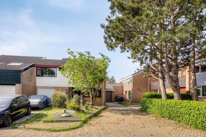 slider-image-38