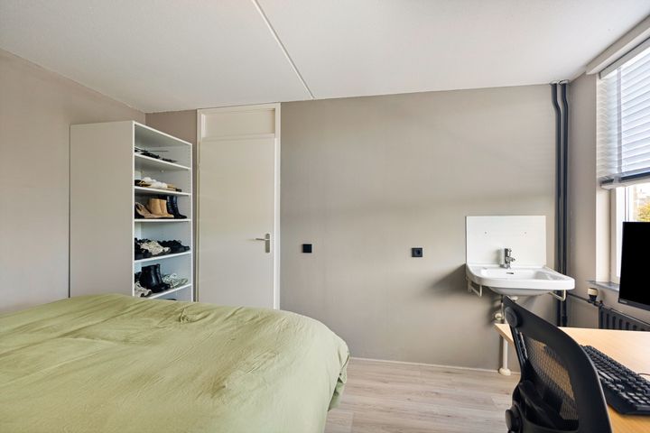 slider-image-29