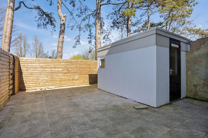 slider-image-1