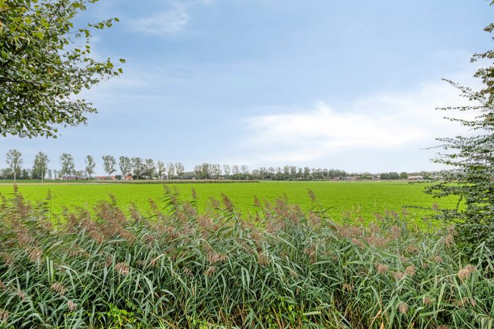slider-image-32