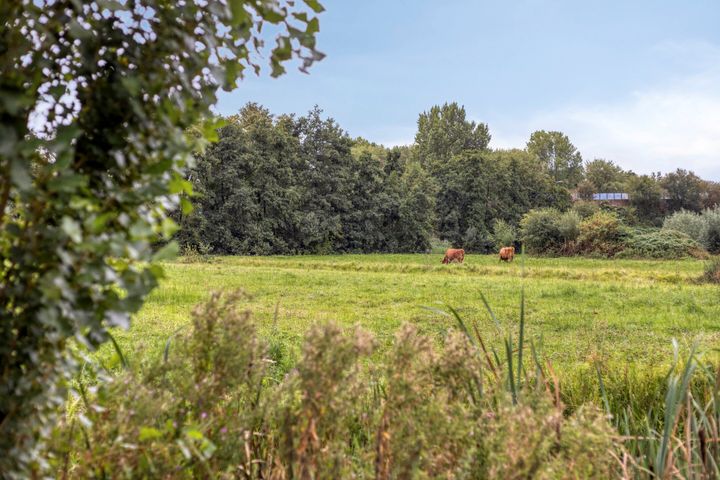 slider-image-44