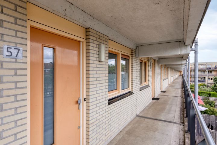 slider-image-3