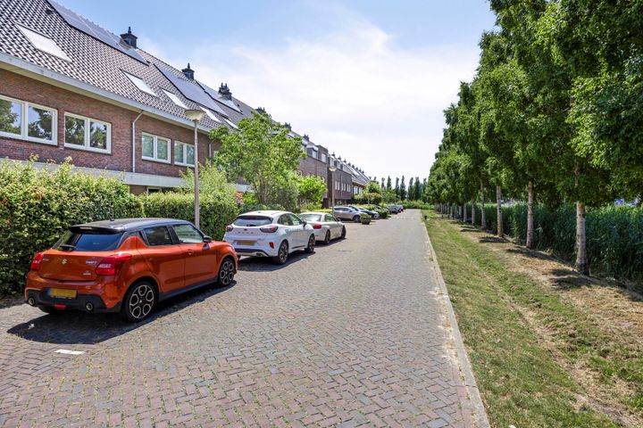 slider-image-4
