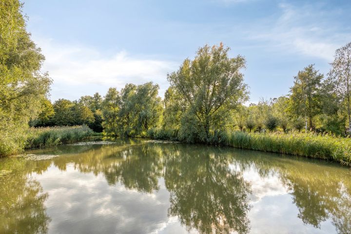 slider-image-41